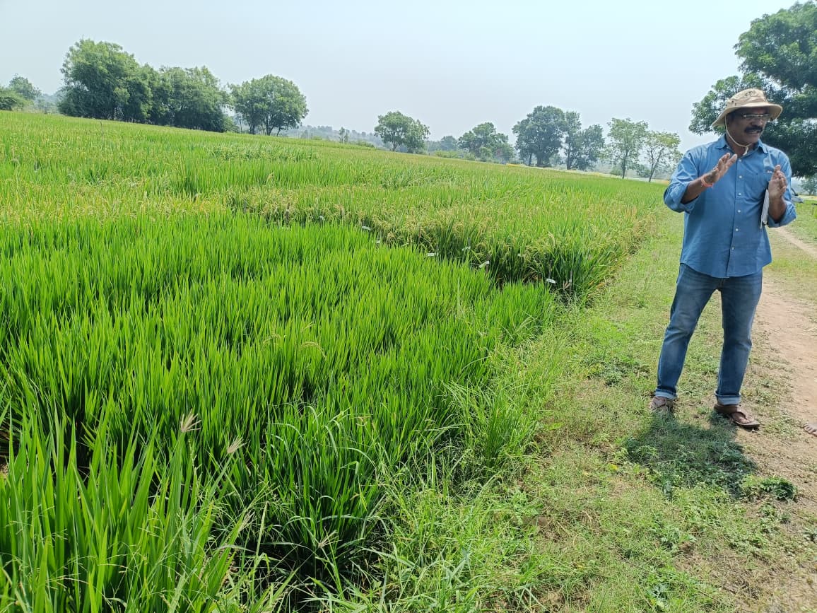 Women Farmer Success