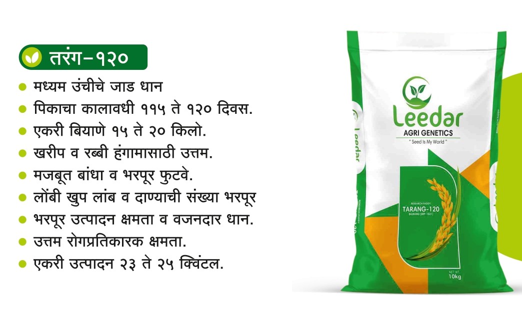 Tarang-120 Paddy